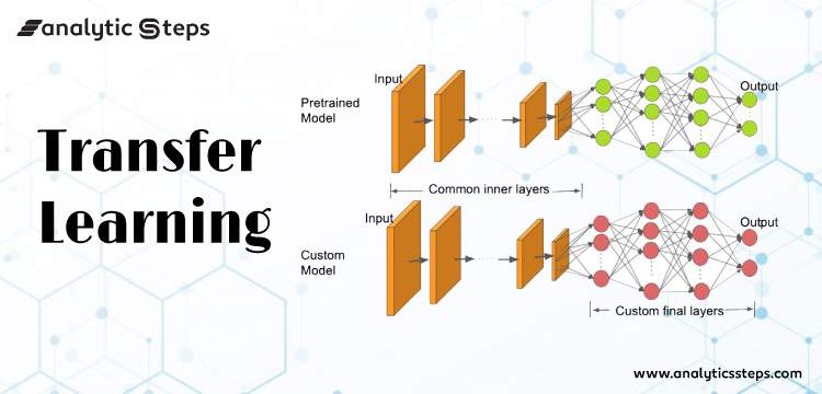 How is Transfer Learning done in Neural Networks and Convolutional Neural Networks? title banner