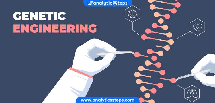 What is Genetic Engineering? Types, Process & Applications | Analytics Steps