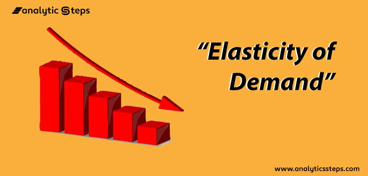 Elasticity of Demand and its Types title banner