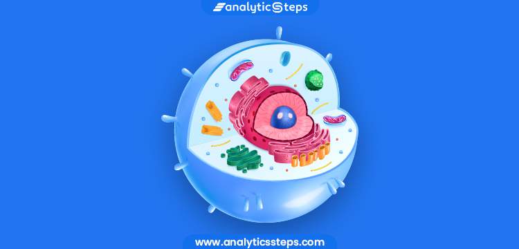 What are Eukaryotic Cells? | Analytics Steps